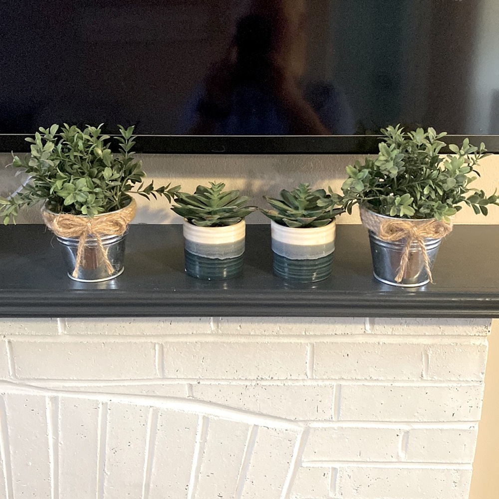Artificial Succulents/Greenery